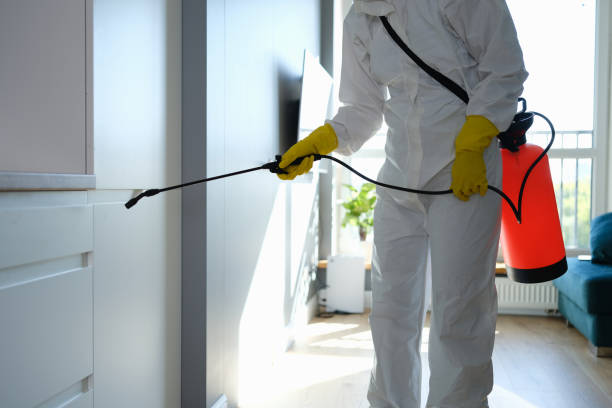 Best Mold Cleaning Services  in Macon, MS