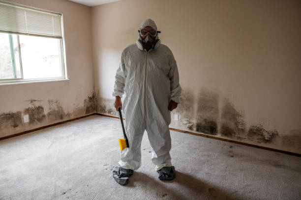 Best Mold Testing  in Macon, MS